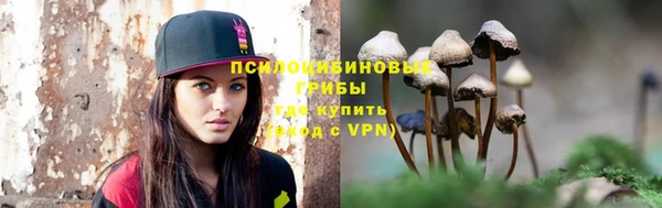 apvp Алзамай