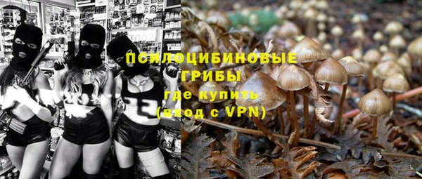 apvp Алзамай