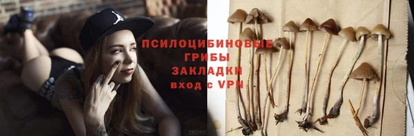 apvp Алзамай