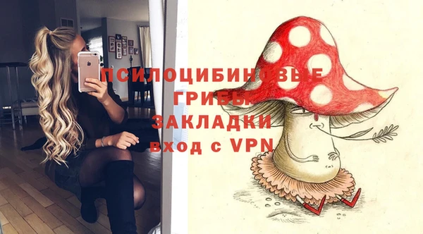 2c-b Алексеевка