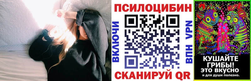 где купить наркоту  Черемхово  Галлюциногенные грибы Psilocybine cubensis 