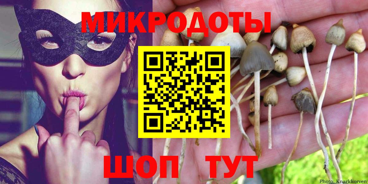 Галлюциногенные грибы мицелий Черемхово